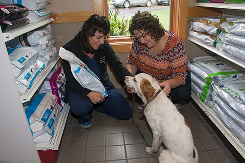 Grand Rapids Veterinary Clinic carries a full line of pet foods and nutritional supplements.