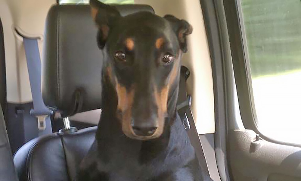 04-tridells-persuasion